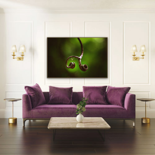 quadro talismã, quadro Rio de Janeiro, seu quadro, fine art, quadro fine art, quadro de decoração, quadro para sala, quadro para casa, quadro para o quarto, quadro decorativo